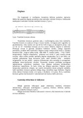 Keraminių blokelių gamybos technologija 7 puslapis