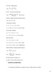 Medienos džiovinimas 19 puslapis