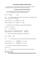 Medienos džiovinimas 6 puslapis