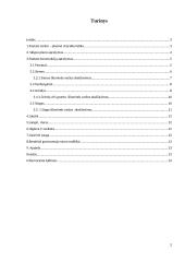 Pastato projektas: individualus gyvenamasis namas Vilniuje