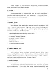 Pastato projektas: individualus gyvenamasis namas Vilniuje 11 puslapis