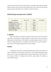Pastato projektas: individualus gyvenamasis namas Vilniuje 12 puslapis