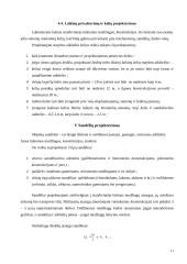 Statybos darbų organizavimas 10 puslapis