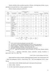 Statybos darbų organizavimas 17 puslapis
