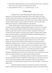 Statybos darbų organizavimas 18 puslapis