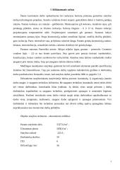 Statybos darbų organizavimas 2 puslapis