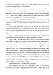 Statybos darbų organizavimas 6 puslapis