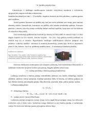 Sankryžos statybos organizavimas 11 puslapis