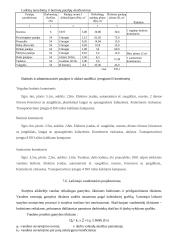 Sankryžos statybos organizavimas 12 puslapis