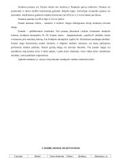 Sankryžos statybos organizavimas 2 puslapis