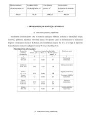 Sankryžos statybos organizavimas 4 puslapis