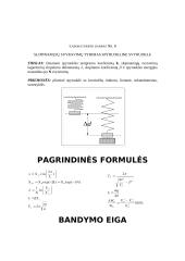 17 fizikos laboratorinių darbų 12 puslapis