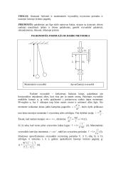17 fizikos laboratorinių darbų 18 puslapis