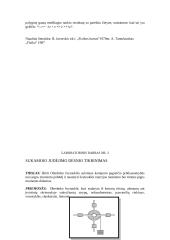 17 fizikos laboratorinių darbų 3 puslapis