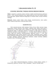 4 fizikos laboratoriniai darbai su ataskaitomis 2 puslapis