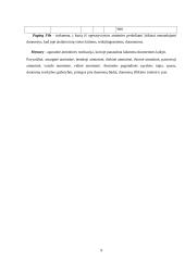 Asmeninio kompiuterio (AK) tyrimai programa System Monitor 9 puslapis