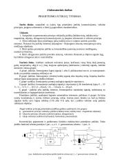 Automatinio valdymo įrenginiai ir sistemos 10 puslapis