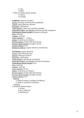 Programų sistemos “Autoklubas” dalykinės srities koncepcinis modelis 12 puslapis