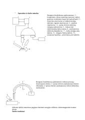 Bandinio paviršiaus tyrimas Rentgeno fotoelektronų spektrometru 2 puslapis