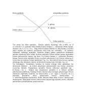 Maliu dėsnio patikrinimas ir Briusterio kampo nustatymas 2 puslapis