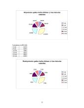 Darbas su "PowerWorld" programa. Elektros tinklo būsenos parametrų skaičiavimas 12 puslapis