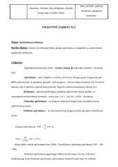 Gamybiniai nuodai ir apsaugos priemonės nuo jų. Apšvietimo įvertinimas 2 puslapis