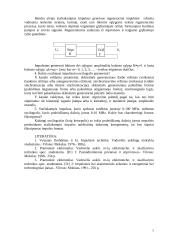 Impulsinių signalų tyrimas 5 puslapis