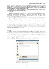 Keletas informatikos darbų 13 puslapis