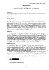 Keletas informatikos darbų 3 puslapis