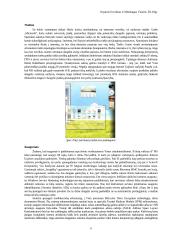 Keletas informatikos darbų 6 puslapis