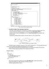 IT (informacinių technologijų) tinklo įrenginių konfiguravimas 3 puslapis
