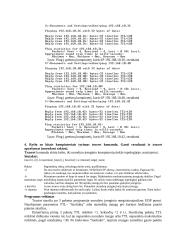 Įvadas į tinklų stebėjimą ir perimtų paketų analizę 3 puslapis