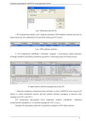 Neteisėto pasinaudojimo VoIP/PSTN vartais galimybių tyrimas 4 puslapis