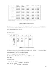 Prie Hicom 300 prijungiamų abonentų konfigūravimas 10 puslapis
