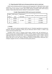 RAID diskinių kaupiklių masyvų skaičiavimai 10 puslapis