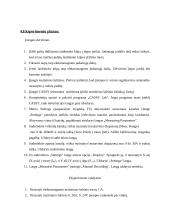 Srovės balansas – jėga veikianti laidininką, kuriuo teka srovė 2 puslapis