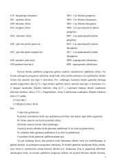 Tekinimo darbų organizavimas 4 puslapis