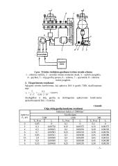 Trinties riedėjimo guoliuose tyrimas 4 puslapis