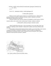 Tūrinių hidromašinų konstrukciniai - analitiniai tyrimai 3 puslapis