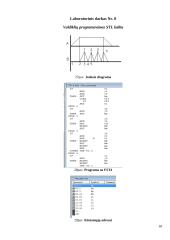 Valdikliai, valdiklių programavimas 18 puslapis