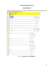 Valdikliai, valdiklių programavimas 20 puslapis