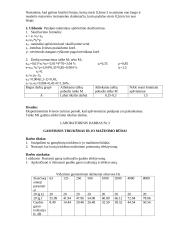 Keletas žmonių saugos tyrimų 4 puslapis