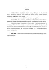 2005-2006 metų valstybės biudžetų analizė 2 puslapis