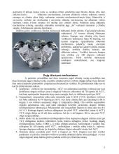 Alkūninis mechanizmas 2 puslapis