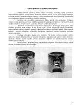 Alkūninis mechanizmas 3 puslapis