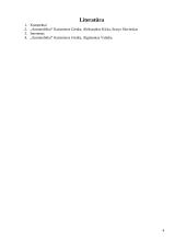 Alkūninis mechanizmas 4 puslapis