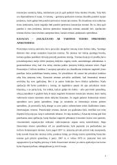 Apeliacijos ir kasacijos teisminio proceso susiformavimas Vakarų teisės tradicijoje 3 puslapis