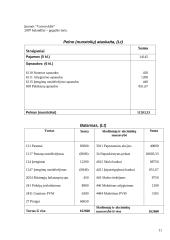 Apskaitos pagrindų modulio individualus namų darbas (su sprendimais) 11 puslapis