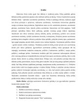 Asortimento formavimo politika ir jos įgyvendinimo ypatumai komercinėje įmonėje "Gija" 3 puslapis