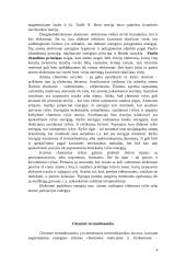 Atomas, atomo sandara 4 puslapis